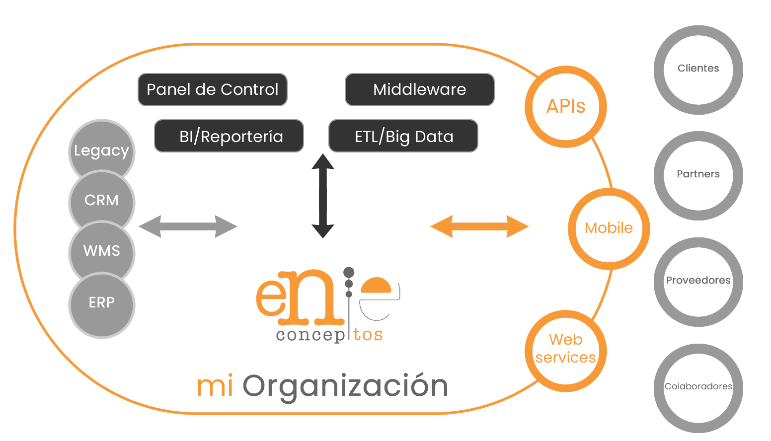 Organizacion